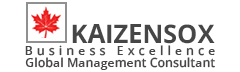 Kaizensox