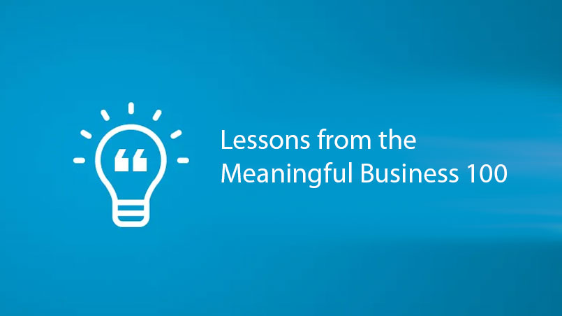 Lessons from the Meaningful Business 100